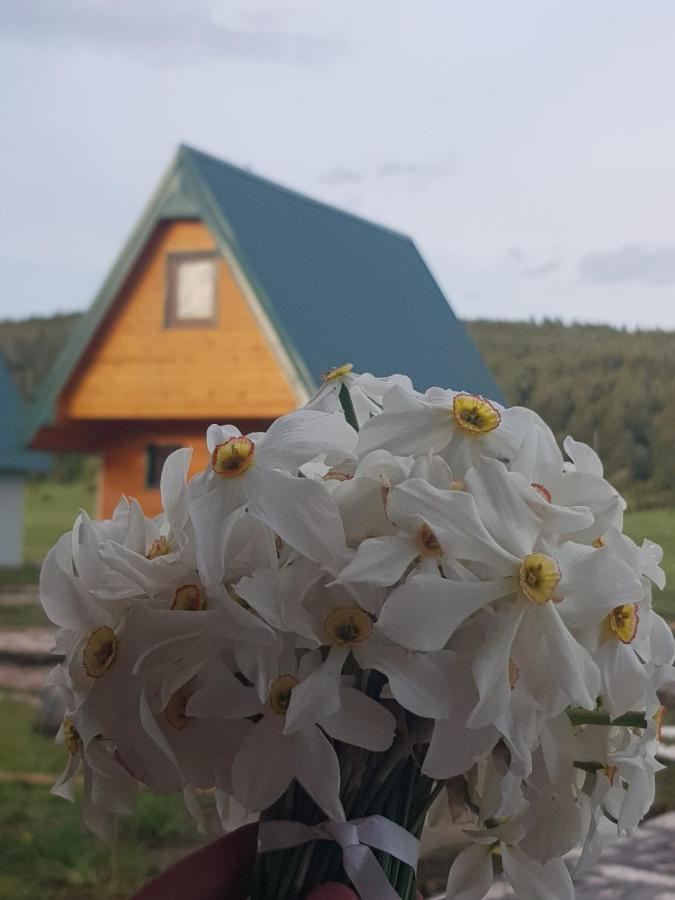 Bungalovi Tim Zabljak  Bagian luar foto