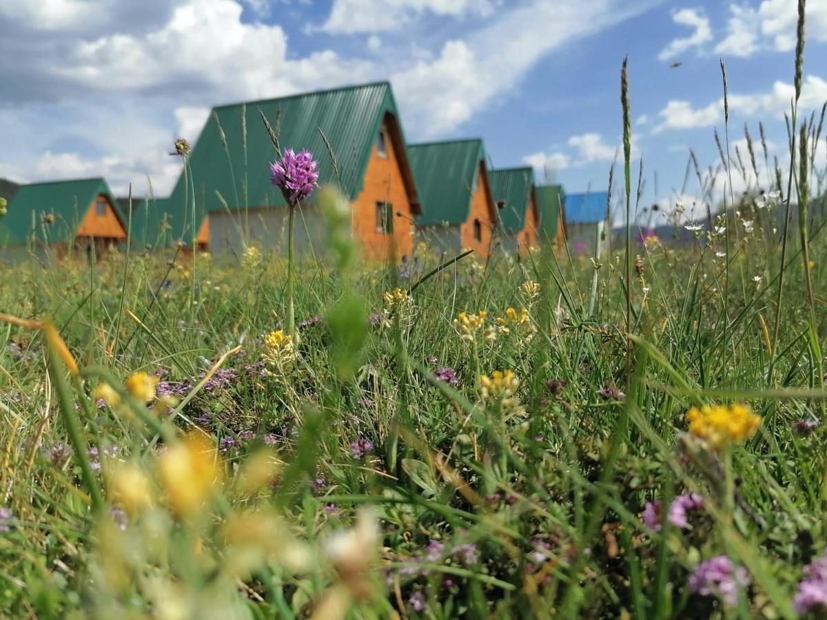 Bungalovi Tim Zabljak  Bagian luar foto