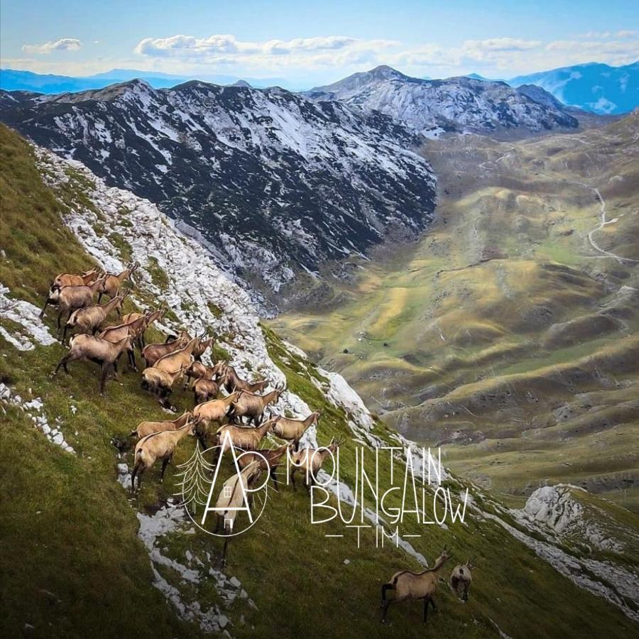 Bungalovi Tim Zabljak  Bagian luar foto